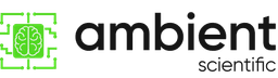 Ambient